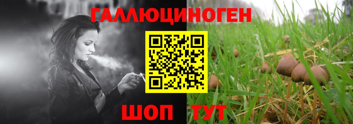 Черкесск  Псилоцибиновые грибы прущие грибы  Вход с VPN  Псилоцибиновые грибы Magic Shrooms 
